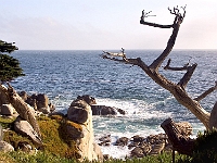 17 Mile Drive 6